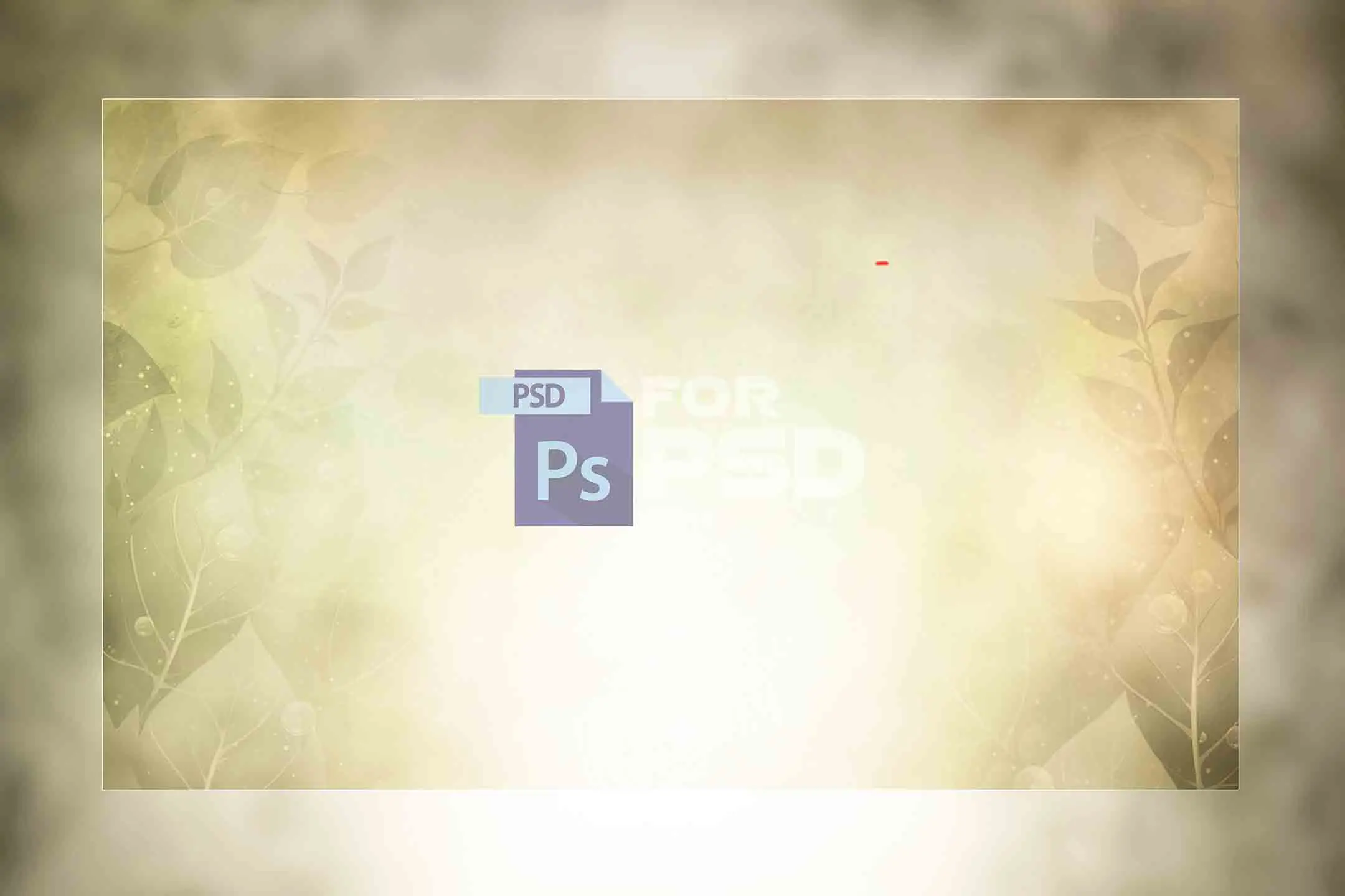 Image Preview